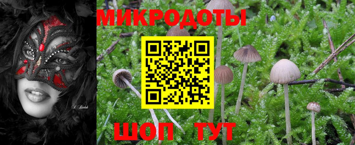 Асино  Галлюциногенные грибы мухоморы  Вход с VPN  Псилоцибиновые грибы прущие грибы 